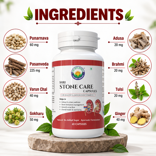 SHRI STONE CARE CAPSULES 60 Capsules | Kidney & Urinary Wellness